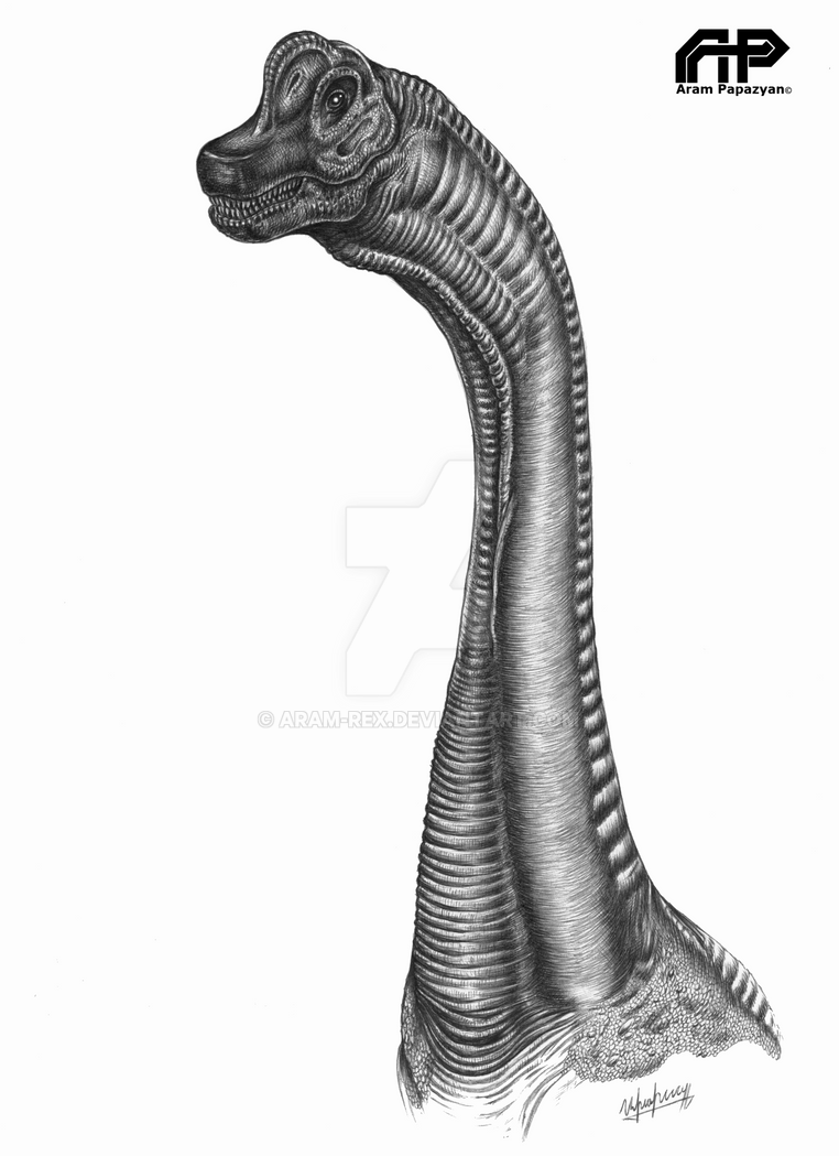 brachiosaurus_portrait_by_aram_rex-d9mns8h.png