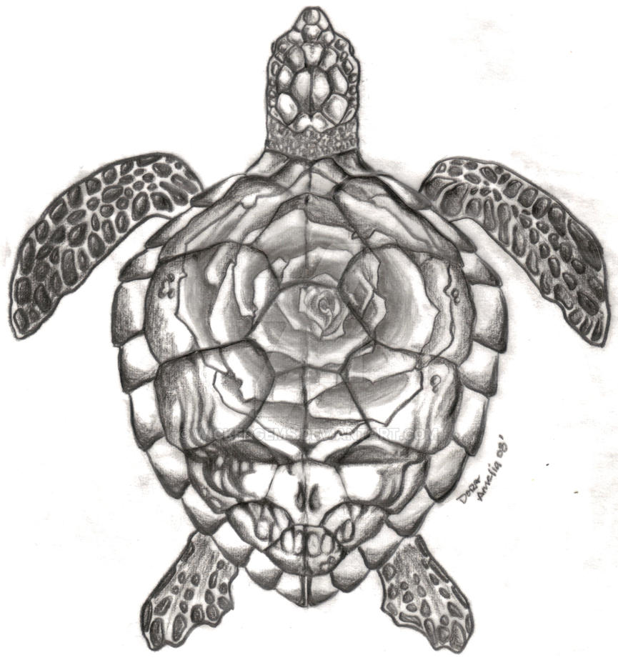 dancing turtles grateful dead coloring pages - photo #26