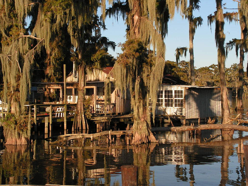 bayou shack by stevenwaynesmith on DeviantArt - Where Can I Watch A House On The Bayou