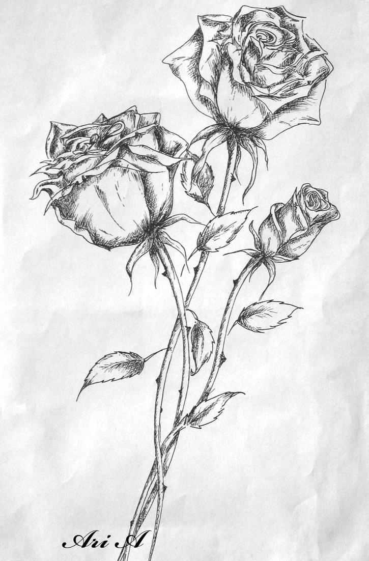 roses_by_x_thesmallprint_x.jpg