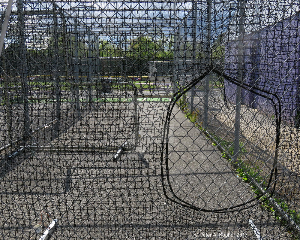 Batting Cage  by peterkopher